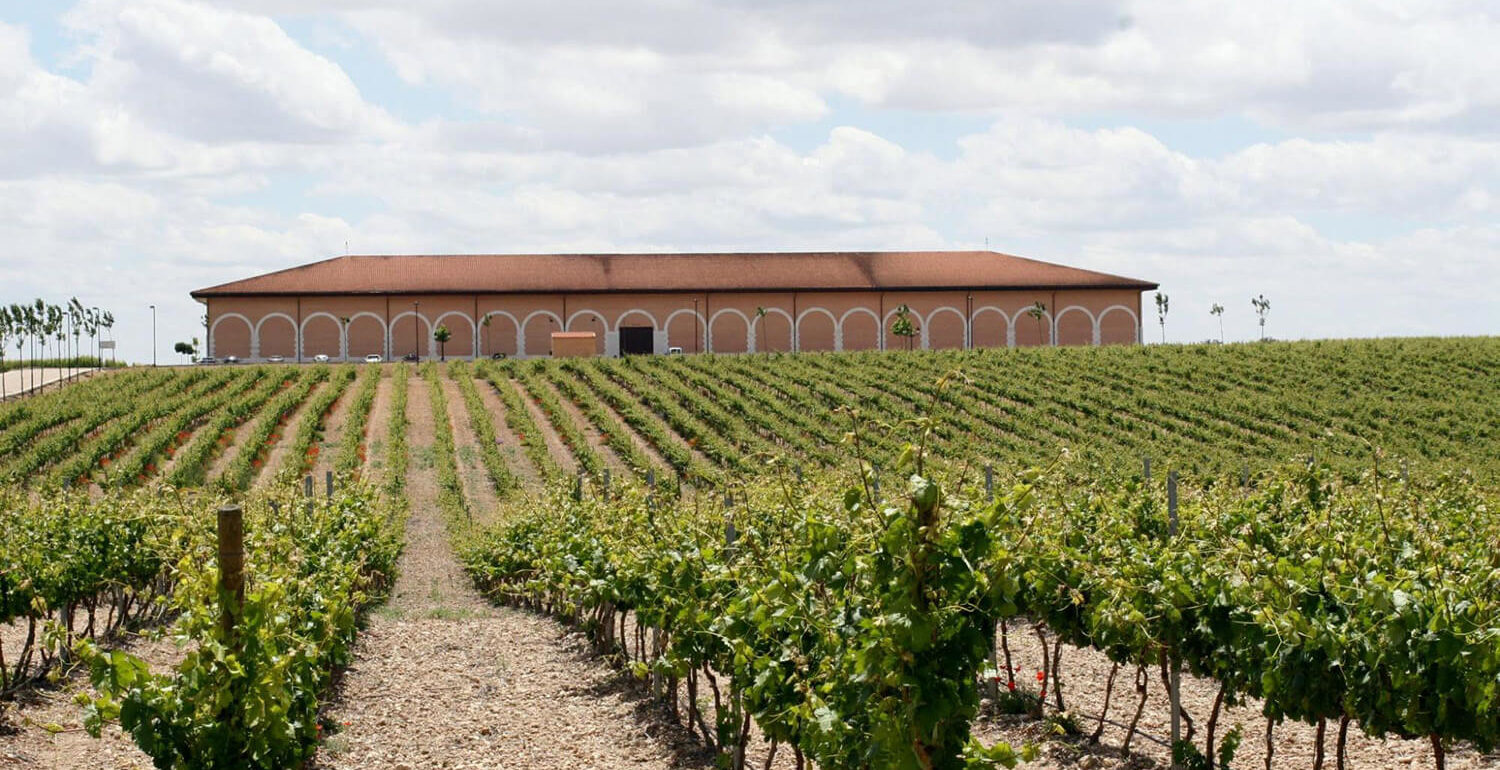 Bodega y viñas de Finca Museum de la D. O. Cigales